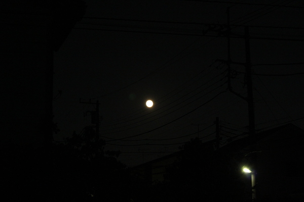 e0166032_21234239.jpg