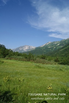 b0151533_7434399.jpg