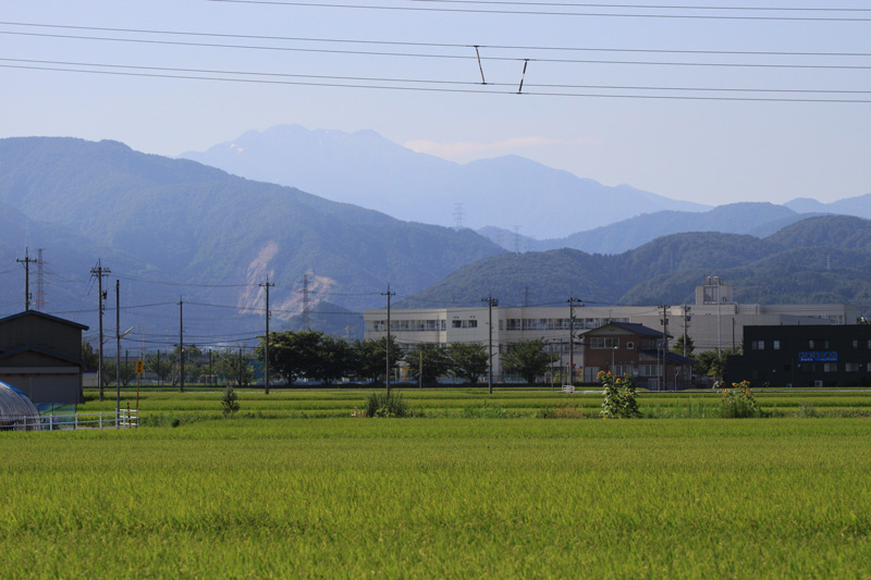 b0177233_14115048.jpg