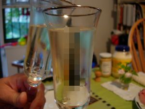 f0200433_23585350.jpg