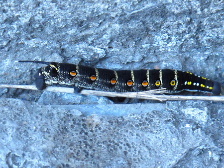 a0220535_22233121.jpg