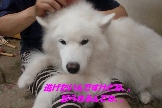 e0196135_2142283.jpg