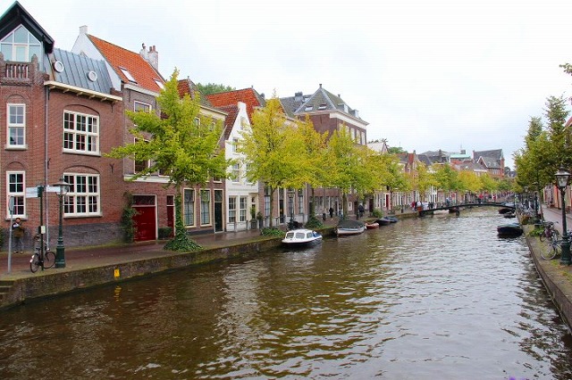 c0153740_19473954.jpg