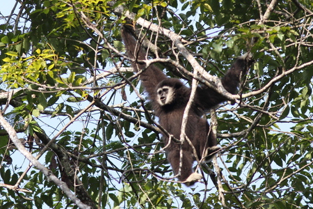 a0094850_16294913.jpg