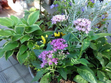 c0147952_1124131.jpg