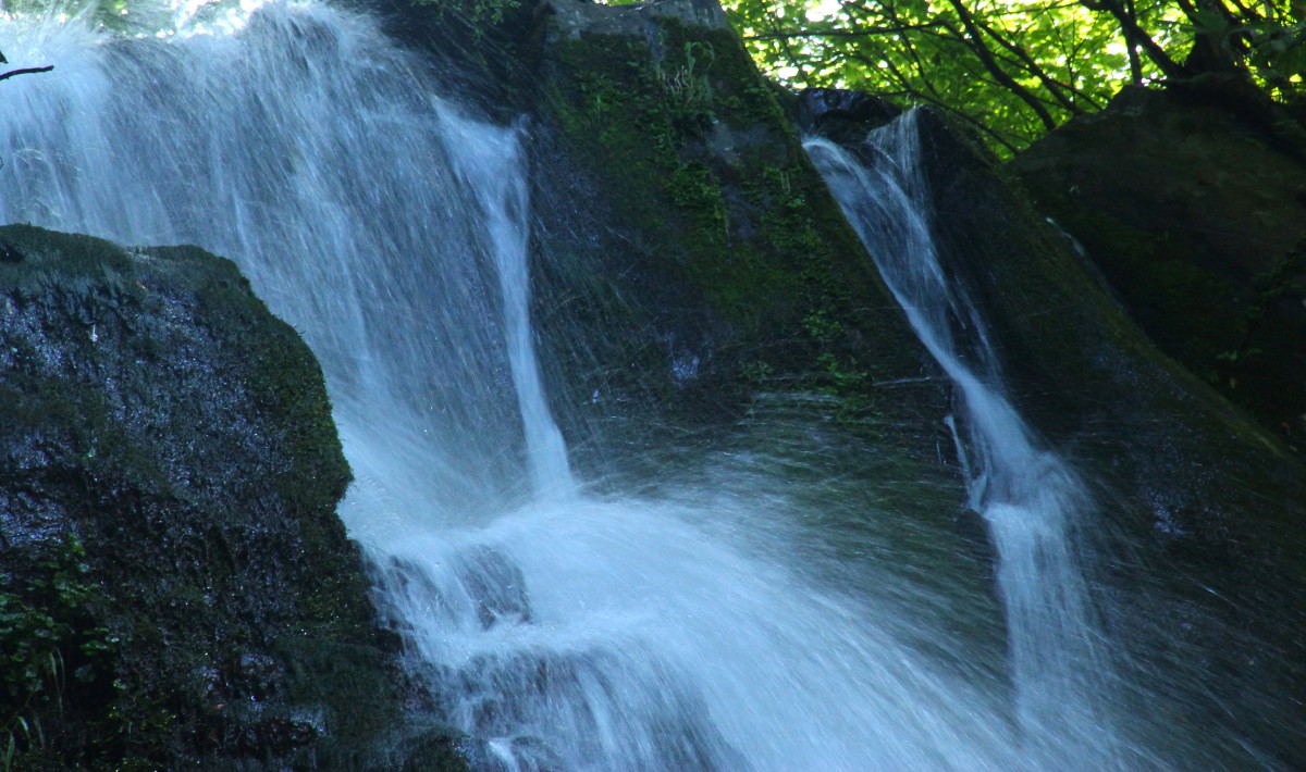 f0232758_22175494.jpg