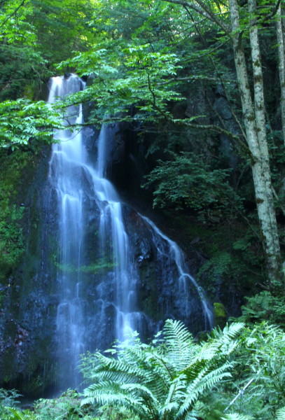 f0232758_22354383.jpg