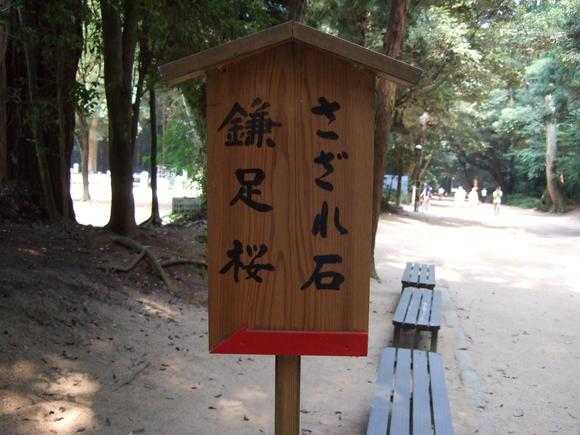 e0009760_1944420.jpg