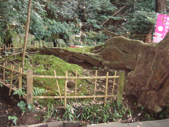 e0009760_19561241.jpg