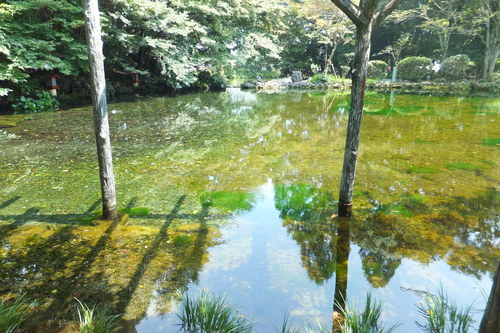 f0203260_004723.jpg