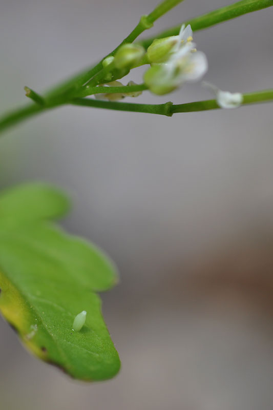c0043361_21522578.jpg