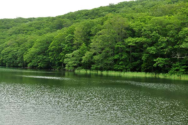 c0043361_2153429.jpg