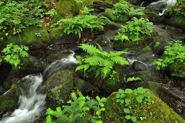 c0043361_2162110.jpg