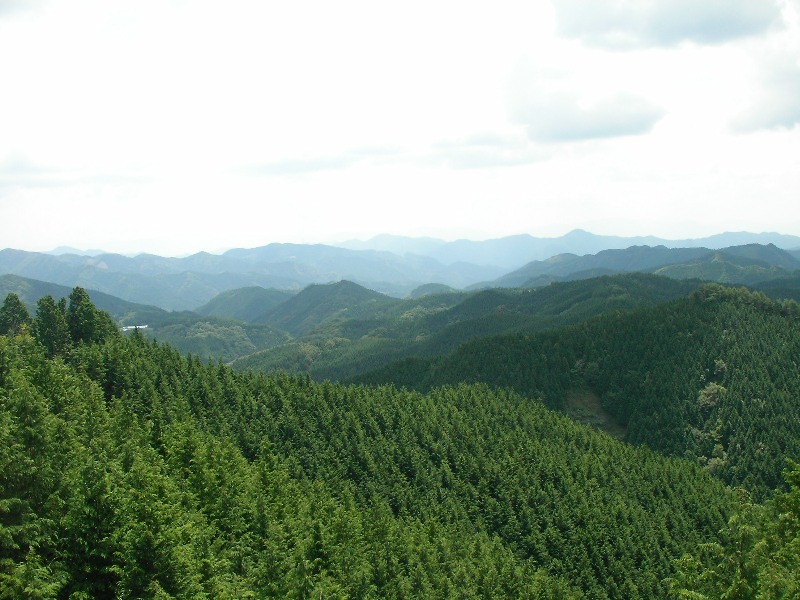 d0069162_10304073.jpg