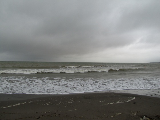 b0183566_11412340.jpg