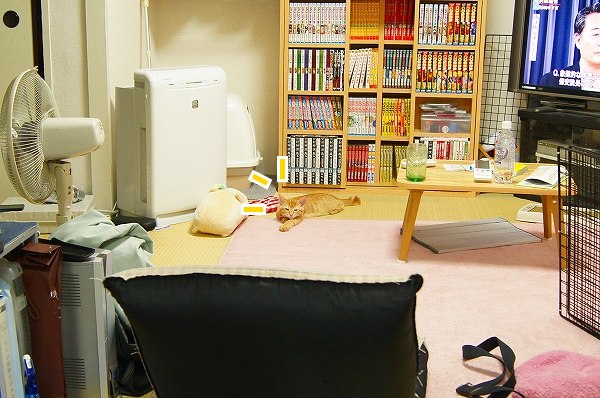 a0201967_22385824.jpg