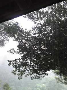 f0142668_911043.jpg