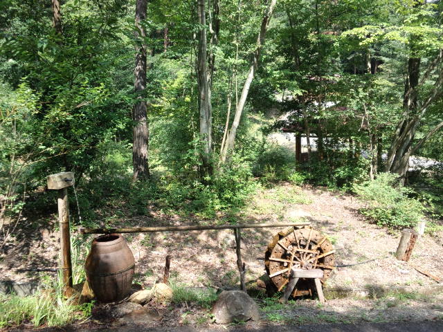 a0160571_1444213.jpg