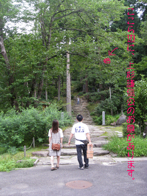 d0050871_11334646.gif