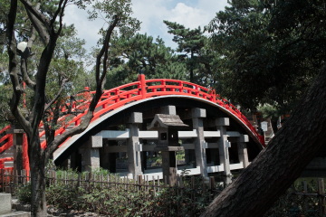 e0081772_827017.jpg