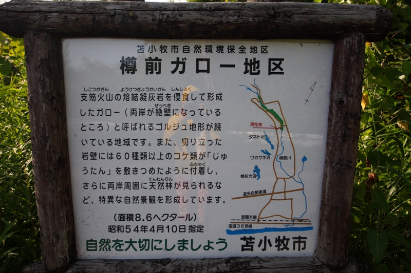 a0016775_23394311.jpg