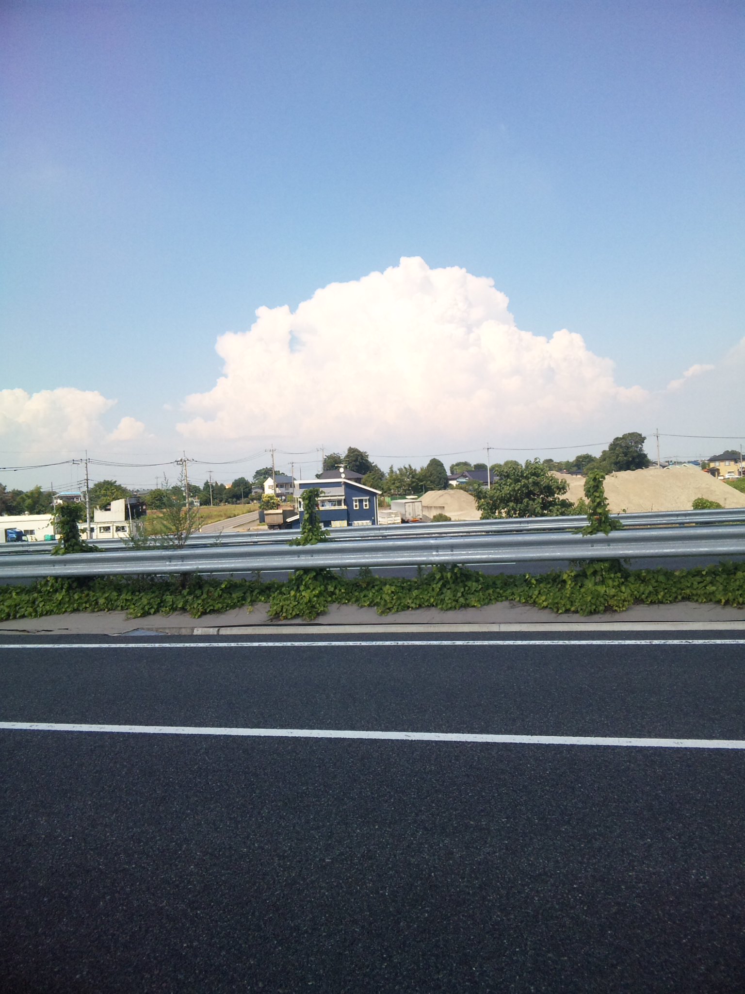 a0152078_0594176.jpg