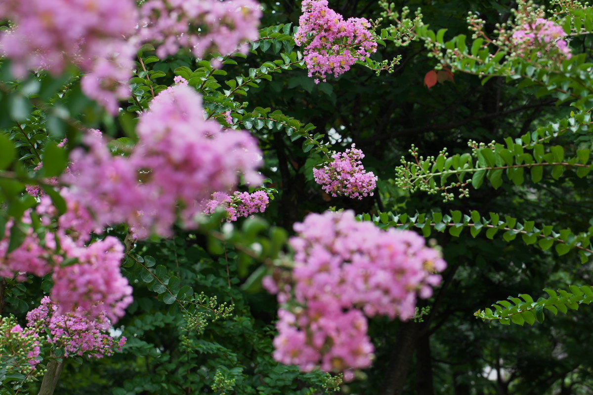 a0083081_17555341.jpg