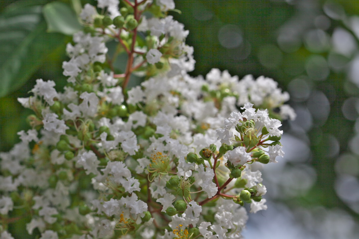 a0083081_1755546.jpg