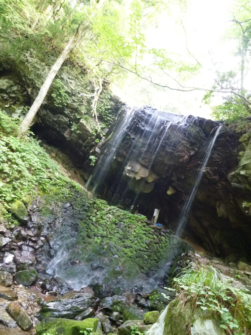 d0179983_21584744.jpg