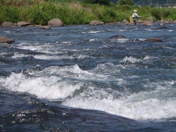c0146788_15491957.jpg