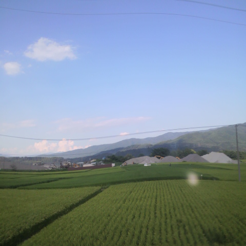 a0063390_0474061.jpg