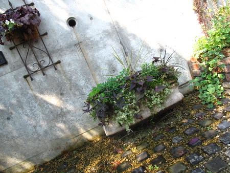 f0178897_20442213.jpg