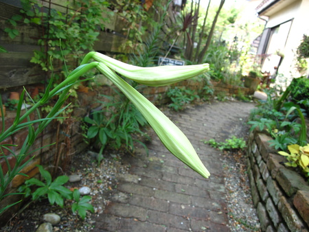 f0178897_20461396.jpg