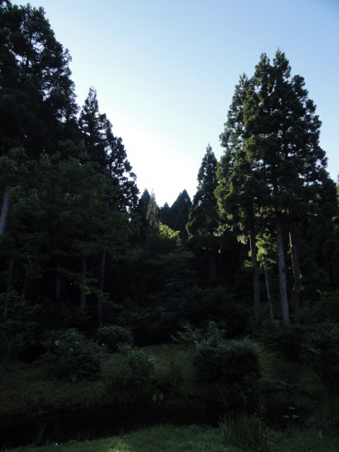 a0061599_719159.jpg