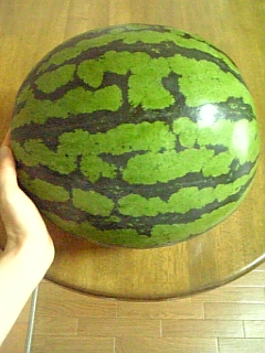 e0175702_2310249.jpg