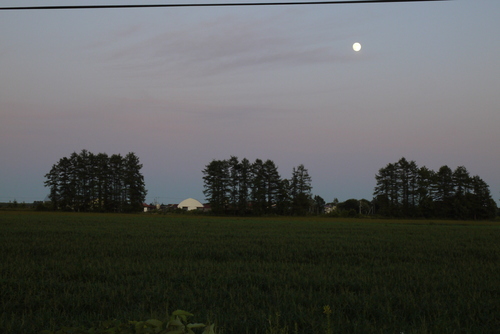b0110205_22292313.jpg