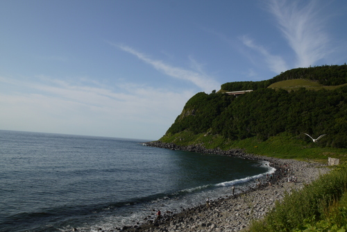 b0110205_22321665.jpg