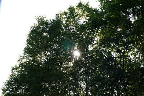 b0110205_22324114.jpg