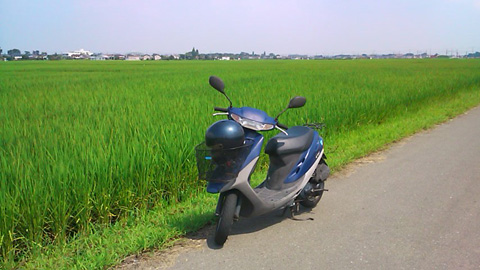 a0000006_0373750.jpg