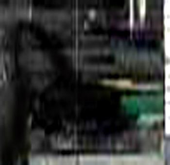 e0103408_18383576.jpg