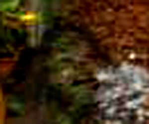 e0103408_8582679.jpg