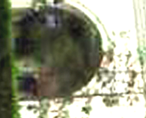 e0103408_9114552.jpg
