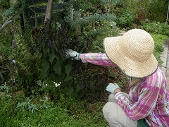 c0190010_1513185.jpg