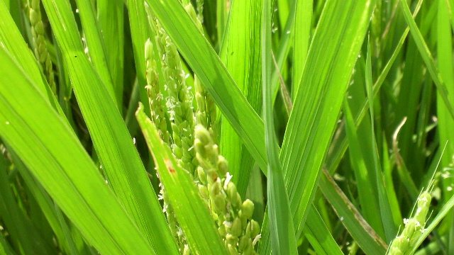 b0035611_2025129.jpg
