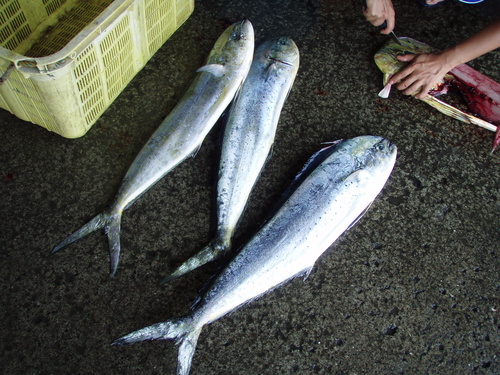 b0121015_1112559.jpg
