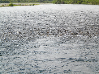 e0091220_16544962.jpg