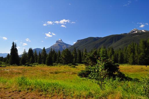 f0111926_1323462.jpg