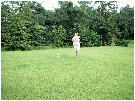 d0179828_8462050.gif