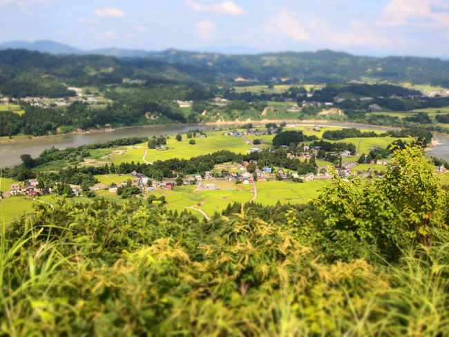 c0000134_1449854.jpg