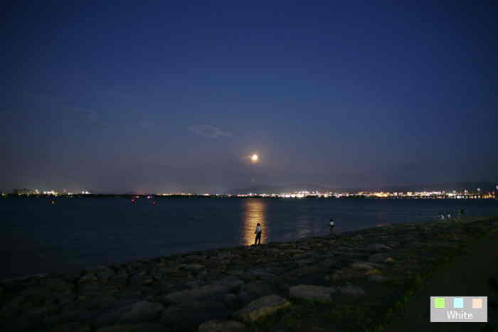 c0227134_937155.jpg